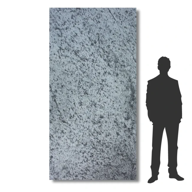 Przejdź do produktu Fornir Kamienny Silver Shine XXL 122x280x0,2 cm