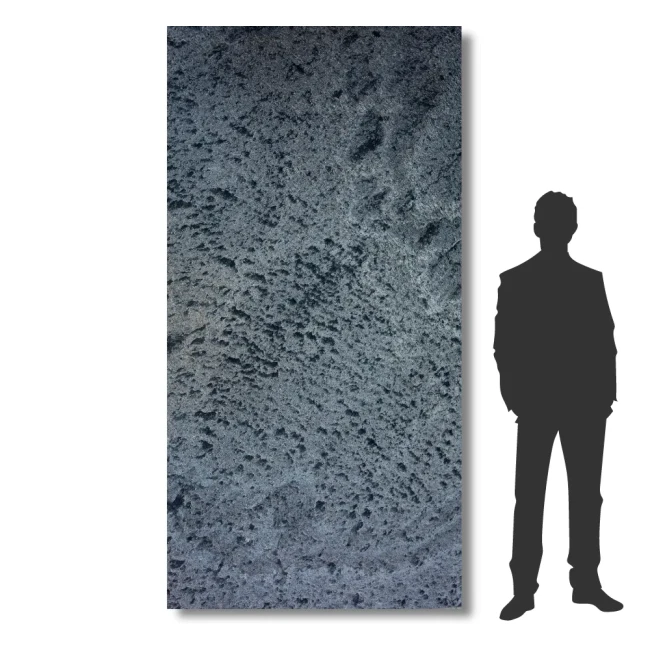 Przejdź do produktu Fornir Kamienny Silver Galaxy XXL 122x280x0,2 cm